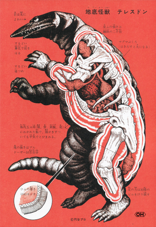 Illustration for article titled Cool drawings show the anatomy of Godzilla and all his friends and foes